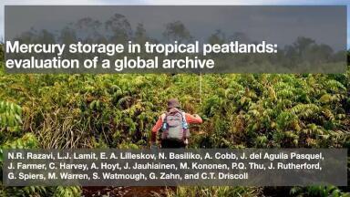 Mercury Storage in Tropical Peatlands: Evaluation of a Global Archive